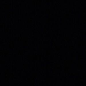 Meet your Posher, Latesha